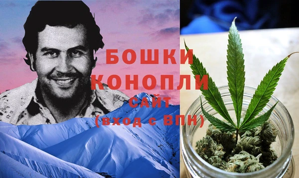 MESCALINE Покачи