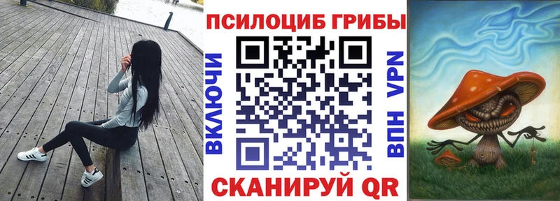 Псилоцибиновые грибы Psilocybine cubensis  где продают наркотики  Теберда 