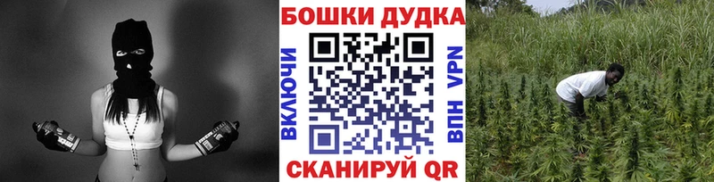 магазин    Теберда  Марихуана марихуана 